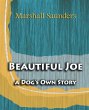 Beautiful Joe a Dog's Own Story (1893) - Bild 1