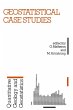 Geostatistical Case Studies - Bild 1