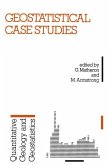 Geostatistical Case Studies