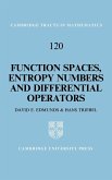 Function Spaces, Entropy Numbers, Differential Operators