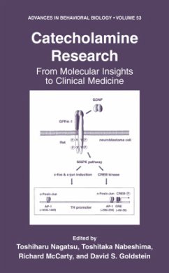 Catecholamine Research - Nagatsu, Toshiharu / Nabeshima, Toshitaka / McCarty, Richard / Goldstein, David S. (Hgg.)