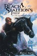 The Black Stallion's Filly - Bild 1
