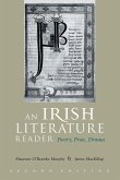 An Irish Literature Reader