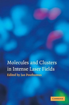Molecules and Clusters in Intense Laser Fields - Posthumus, Jan (ed.)