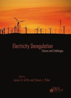 Electricity Deregulation: Choices and Challenges Volume 4