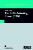 The CDK-Activating Kinase (CAK)