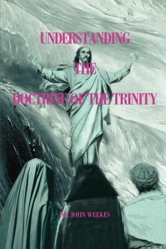 Understanding the Doctrine of the Trinity - Weekes, John