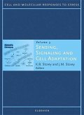 Sensing, Signaling and Cell Adaptation