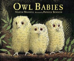 Owl Babies - Waddell, Martin