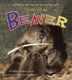 Beaver - Kalman, Bobbie