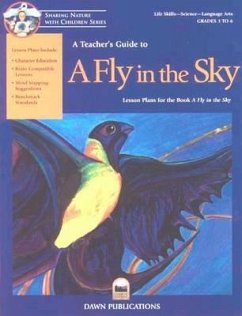 A Teacher's Guide to a Fly in the Sky - Malnor, Bruce; Malnor, Carol; Pratt, Kristin Joy