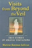 Visits from Beyond the Veil