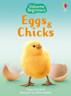 Eggs and Chicks - Patchett, Fiona