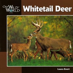 Whitetail Deer - Evert, Laura