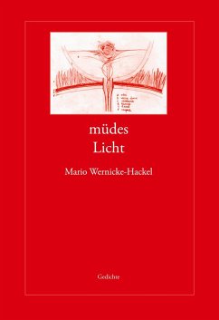 müdes Licht - Wernicke-Hackel, Mario