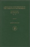 Bilingual Concordance to the Targum of the Prophets, Volume 19 Twelve (Chet Samekh)