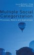 Multiple Social Categorization - Bild 1