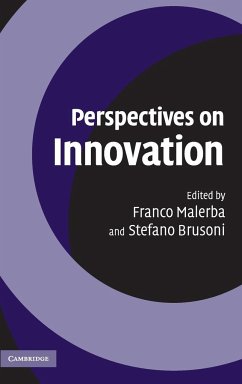 Perspectives on Innovation - Malerba, Franco / Brusoni, Stefano (eds.)