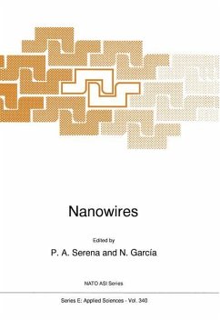 Nanowires - Serena, P.A. (ed.) / García, N.