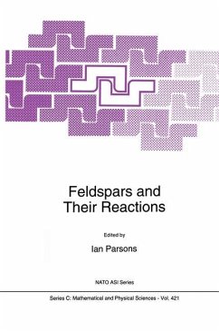 Feldspars and their Reactions - Parsons, Ian (Hrsg.)