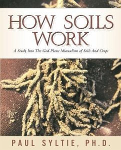 How Soils Work - Syltie, Paul W.