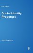 Social Identity Processes - Bild 1