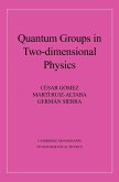 Quantum Groups in Two-Dimensional Physics
