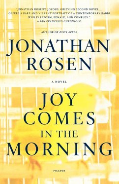 Joy Comes in the Morning - Rosen, Jonathan