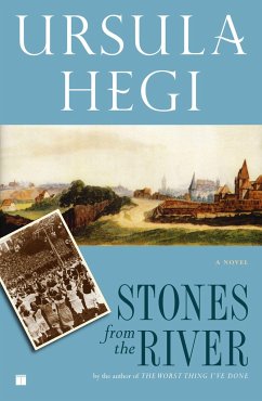 Stones from the River - Hegi, Ursula