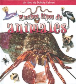 Muchos Tipos de Animales - Aloian, Molly Kalman, Bobbie