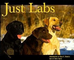 Just Labs - Smith, Steve