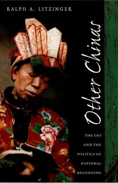 Other Chinas - Litzinger, Ralph A