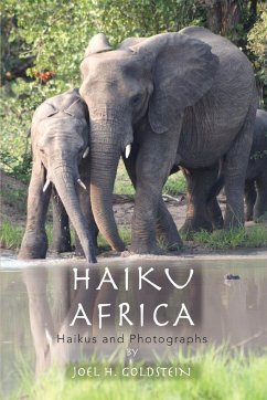 Haiku Africa - Goldstein, Joel H