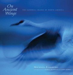 On Ancient Wings - Forsberg, Michael
