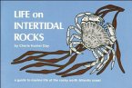 Life on Intertidal Rocks