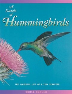 A Dazzle of Hummingbirds: The Colorful Life of a Tiny Scrapper - Berger, Bruce