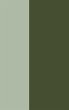 The Morphosyntax of the Algonquian... - Bild 1
