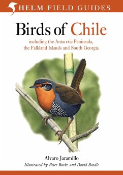 Birds of Chile - Jaramillo, Alvaro