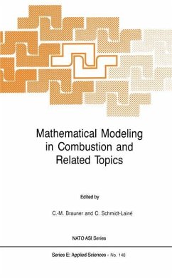 Mathematical Modeling in Combustion and Related Topics - Brauner, Claude-Michel / Schmidt-Lainé, Claudine (eds.)