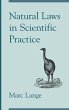 Natural Laws in Scientific Practice - Bild 1