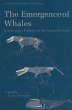 The Emergence of Whales - Bild 1