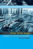China Shifts Gears: Automakers, Oil, Pollution, and Development