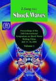 Shock Waves