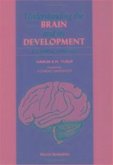 Understanding the Brain and Its Development: A Chemical Approach