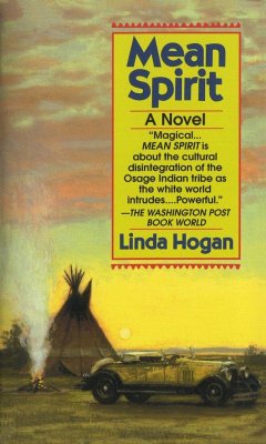Mean Spirit - Hogan, Linda