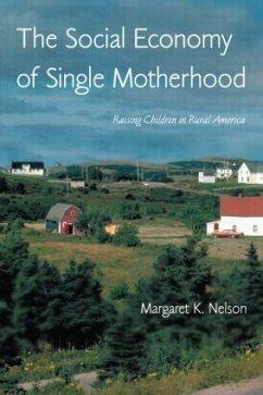 The Social Economy of Single Motherhood - Nelson, Margaret