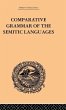Comparative Grammar of the Semitic... - Bild 1