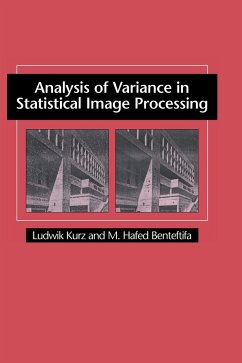 Analysis of Variance in Statistical Image Processing - Kurz, Ludwik; Benteftifa, M. Hafed