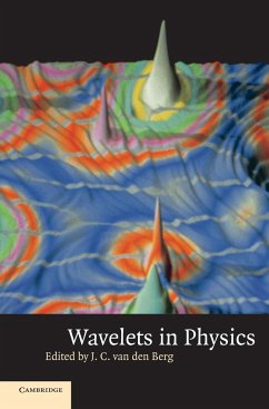 Wavelets in Physics - van den Berg, J. C. van de (ed.)