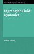 Lagrangian Fluid Dynamics - Bild 1